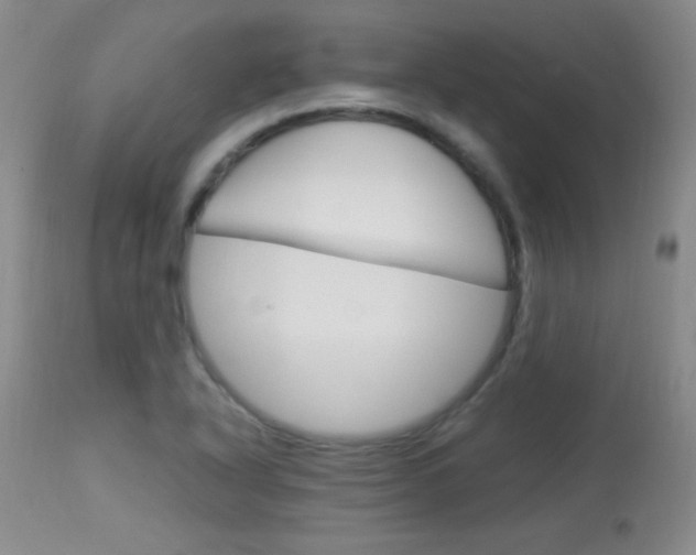 X0000114011318200910020943