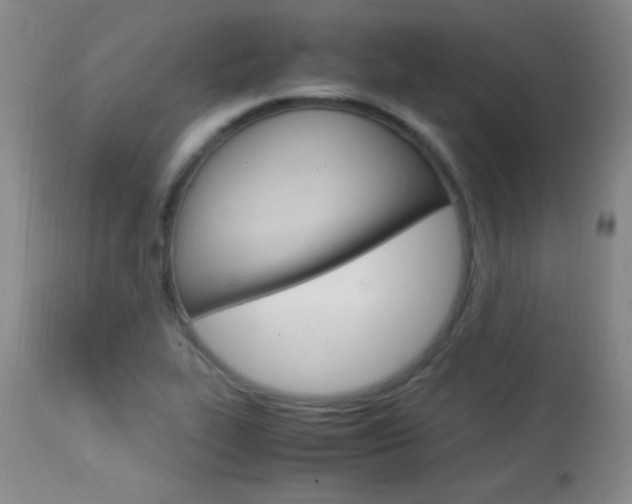 X0000114011319200910020943