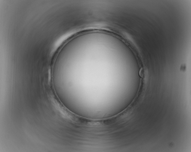 X0000114011320200910020943