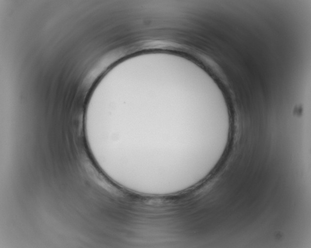 X0000114011322200910020943
