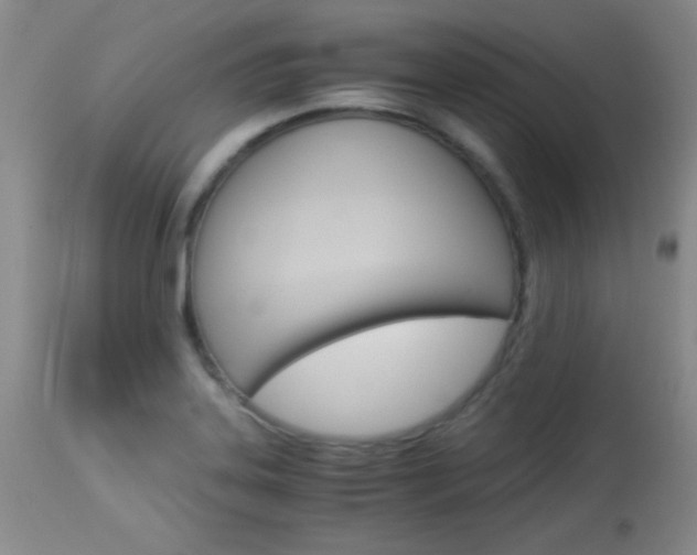 X0000114011323200910020943