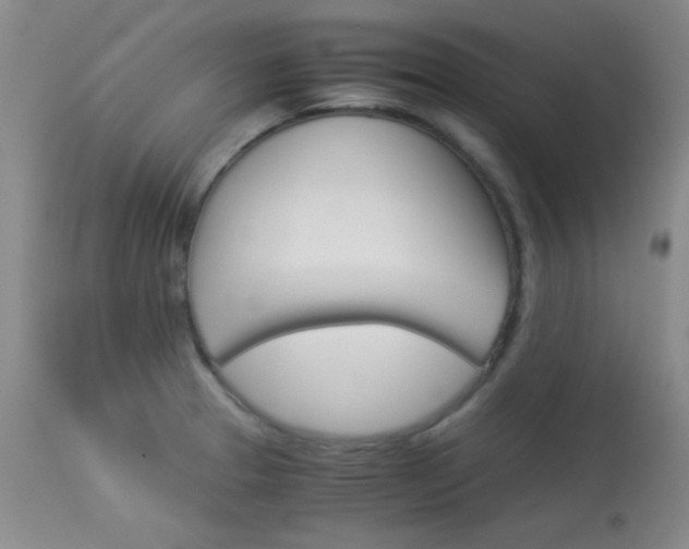 X0000114011329200910020943