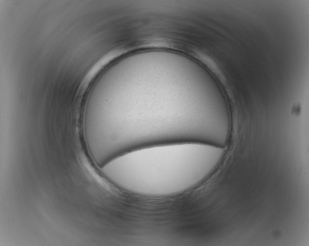 X0000114011331200910020943