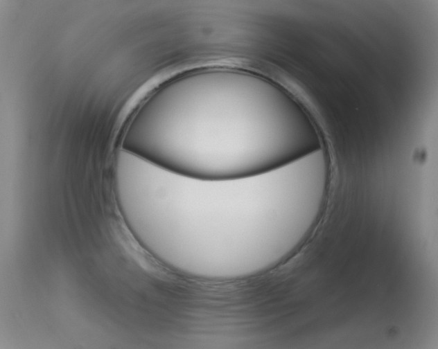 X0000114011332200910020943