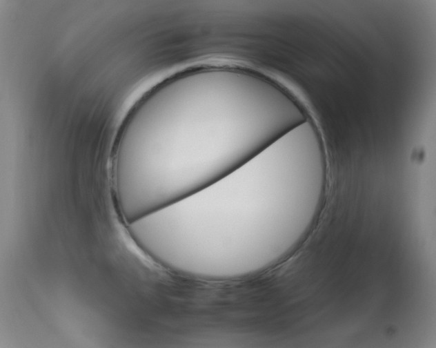 X0000114011335200910020943