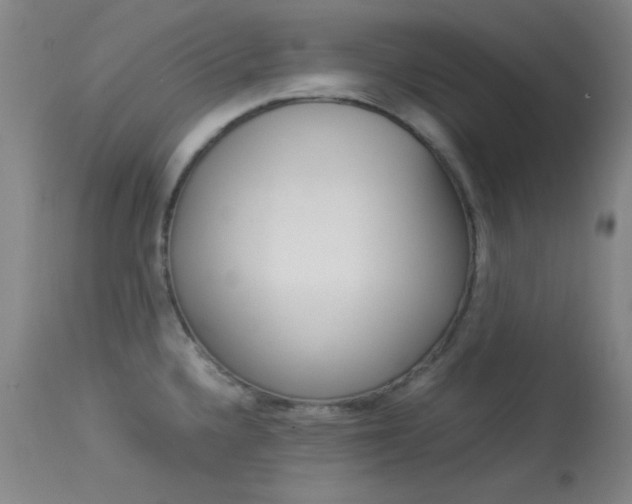 X0000114011336200910020943