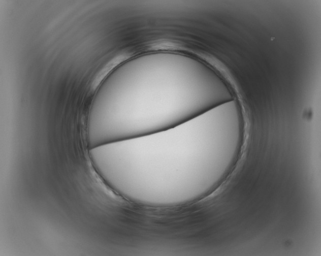 X0000114011337200910020943
