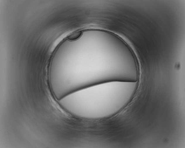 X0000114011341200910020944