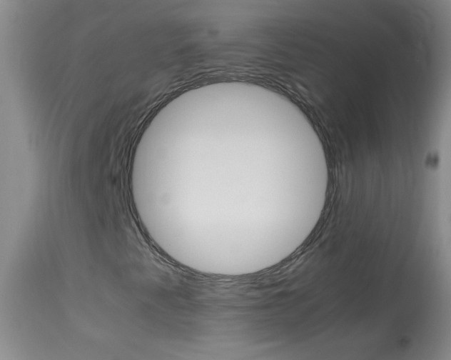 X0000114011345200910020943