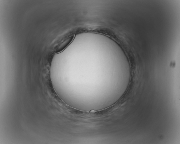 X0000114011349200910020943