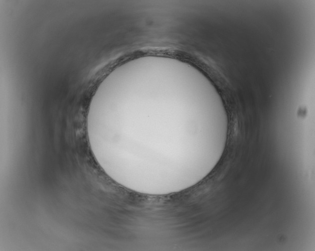 X0000114011350200910020943