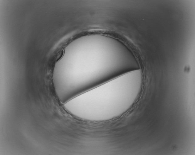 X0000114011351200910020943