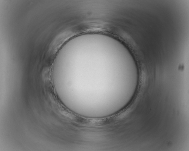 X0000114011353200910020943