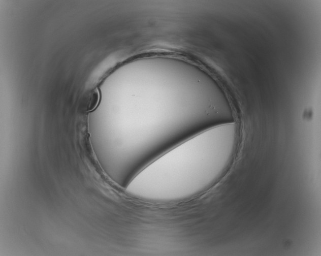 X0000114011355200910020943