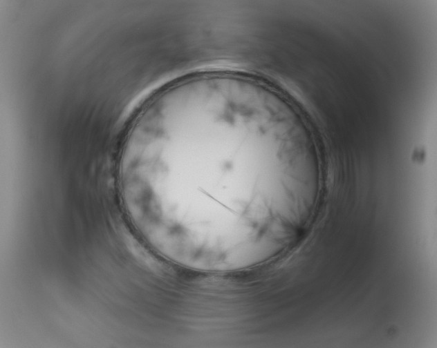 X0000114011356200910020943