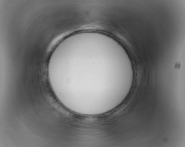 X0000114011358200910020943