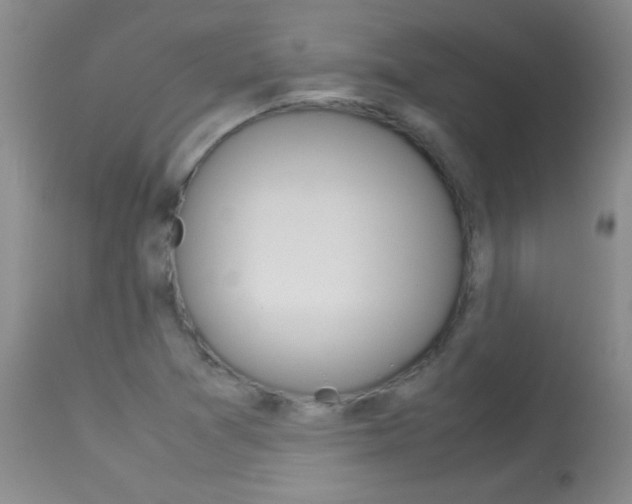 X0000114011361200910020943