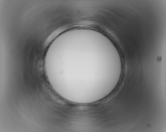 X0000114011362200910020943