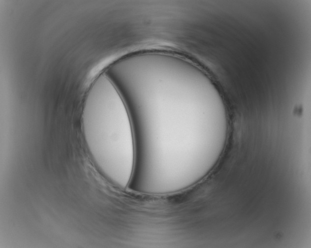 X0000114011363200910020943
