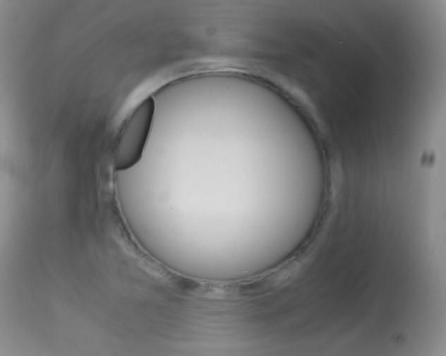 X0000114011365200910020942