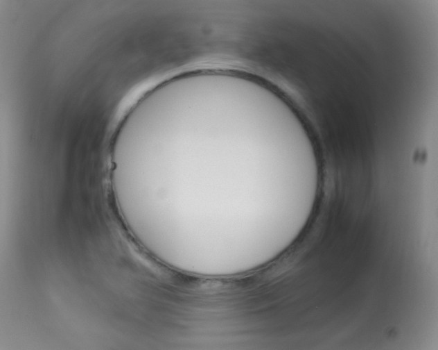 X0000114011366200910020942