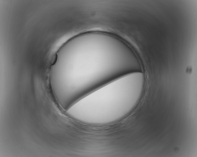 X0000114011367200910020942