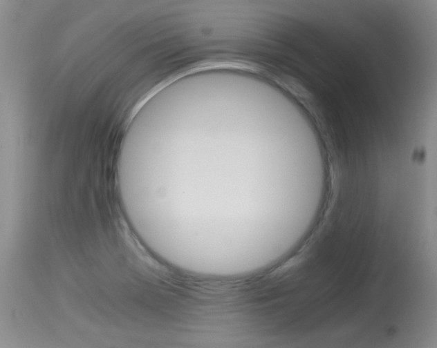 X0000114011369200910020942