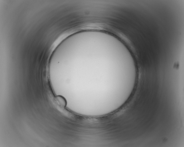 X0000114011370200910020942