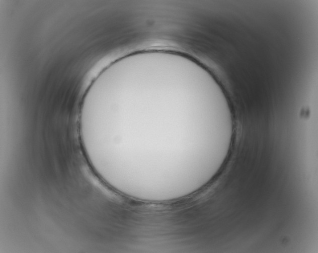 X0000114011374200910020942