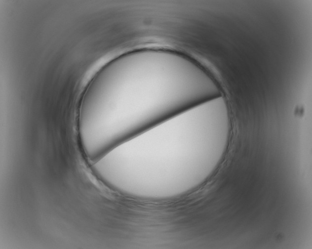 X0000114011375200910020942
