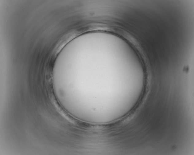 X0000114011377200910020942