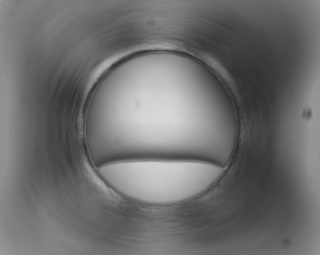 X0000114011380200910020942
