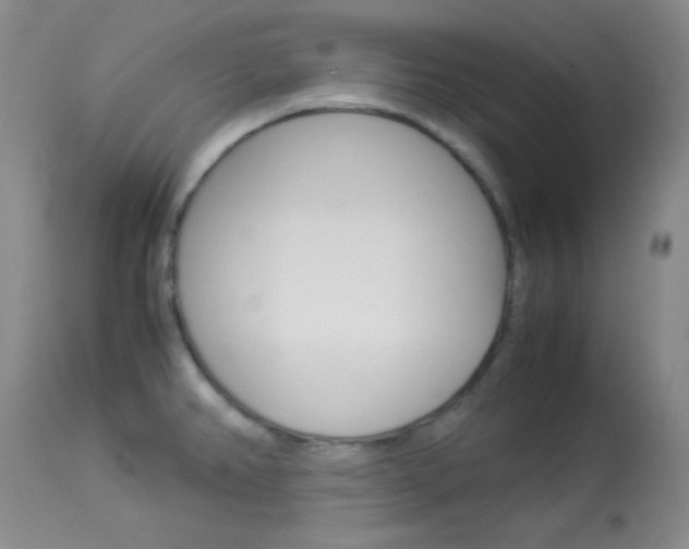 X0000114011382200910020942