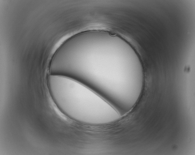X0000114011383200910020942