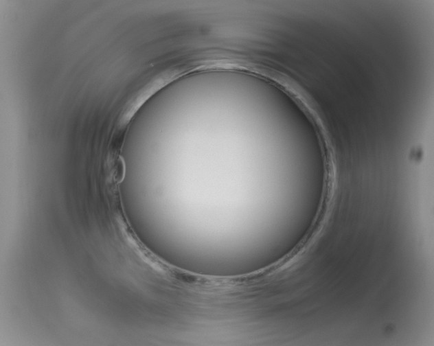 X0000114011385200910020942