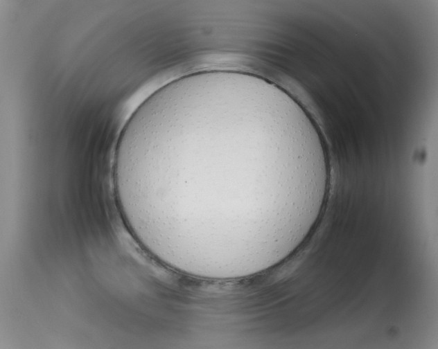 X0000114011386200910020942