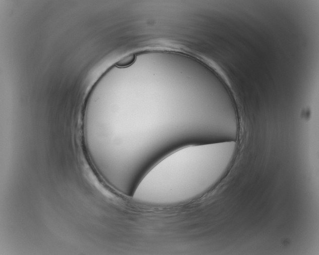 X0000114011387200910020942