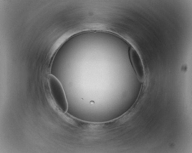 X0000114011389200910020942