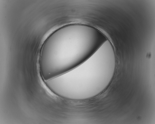 X0000114011391200910020942