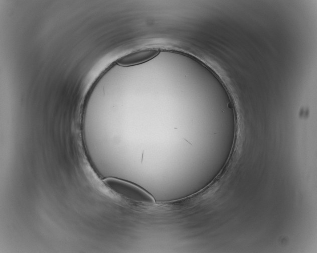 X0000114011392200910020942