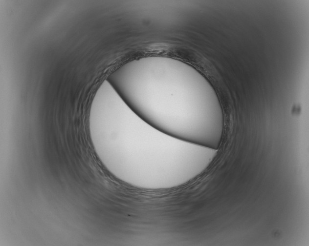X0000114011394200910020941