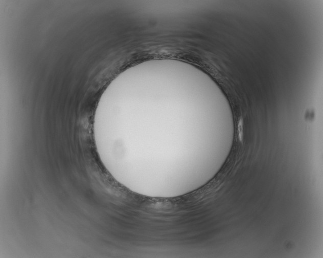 X0000114011395200910020941