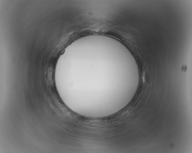 X0000114011396200910020941