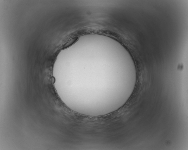 X0000114011397200910020942