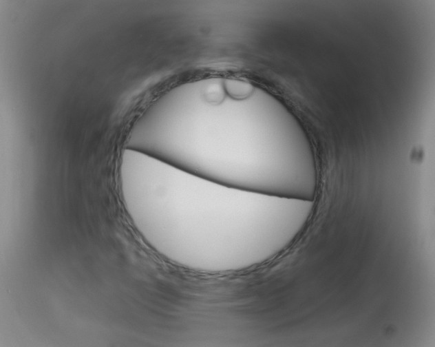 X0000114011398200910020942