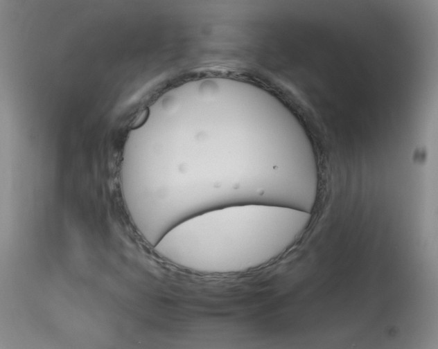X0000114011399200910020942
