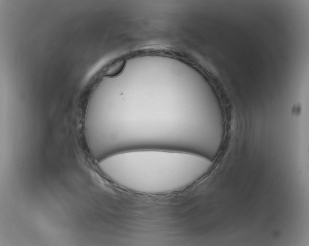 X0000114011400200910020942