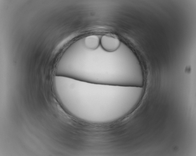 X0000114011402200910020942