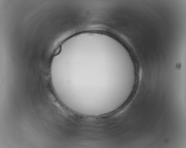 X0000114011405200910020942