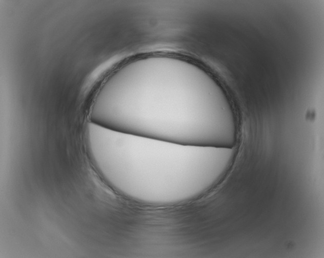 X0000114011406200910020942